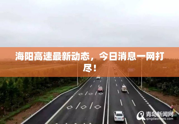海阳高速最新动态，今日消息一网打尽！