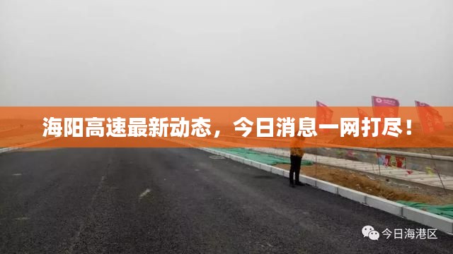 海阳高速最新动态,今日消息一网打尽!