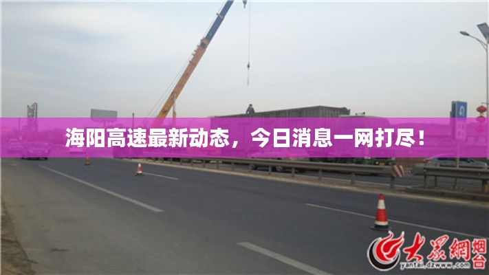 海阳高速最新动态,今日消息一网打尽!
