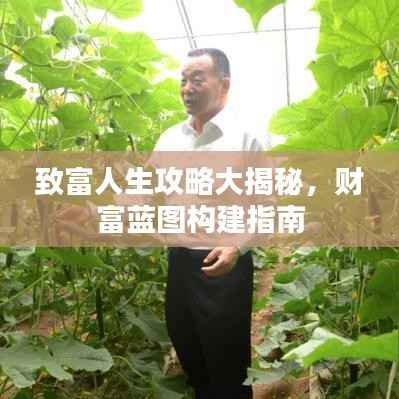 致富人生攻略大揭秘，财富蓝图构建指南