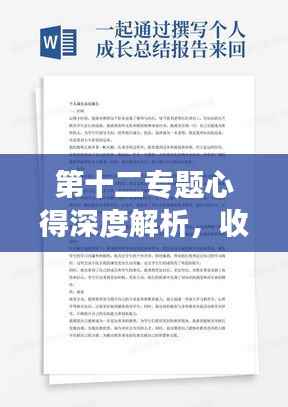 第十二专题心得深度解析，收获、成长与启示