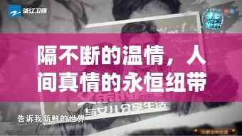 隔不断的温情,人间真情的永恒纽带连接心与心