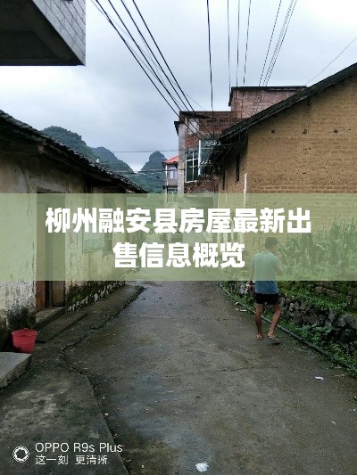 柳州融安县房屋最新出售信息概览