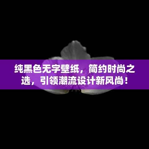 纯黑色无字壁纸，简约时尚之选，引领潮流设计新风尚！