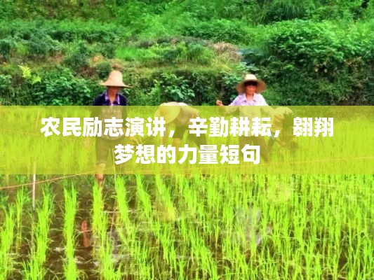农民励志演讲，辛勤耕耘，翱翔梦想的力量短句