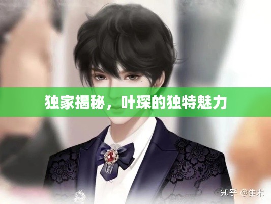 独家揭秘,叶琛的独特魅力