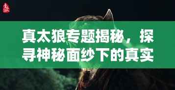 真太狼专题揭秘,探寻神秘面纱下的真实面貌