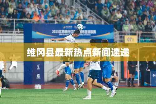 维冈县最新热点新闻速递