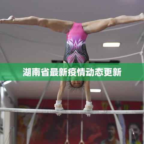 湖南省最新疫情动态更新