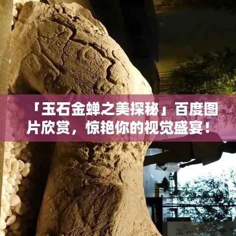 「玉石金蝉之美探秘」百度图片欣赏，惊艳你的视觉盛宴！