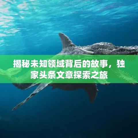 揭秘未知领域背后的故事,独家头条文章探索之旅