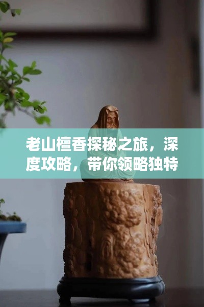 老山檀香探秘之旅，深度攻略，带你领略独特魅力！
