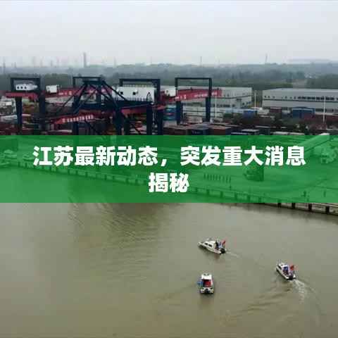 物稀为贵 第3页