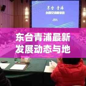 东台青浦最新发展动态与地方热点深度解析
