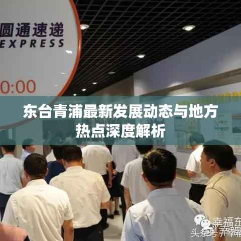 东台青浦最新发展动态与地方热点深度解析
