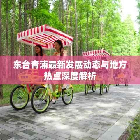 东台青浦最新发展动态与地方热点深度解析