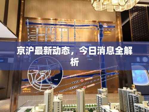 京沪最新动态，今日消息全解析
